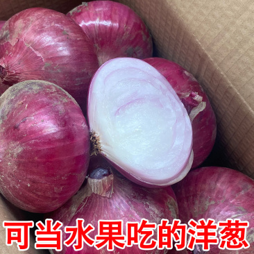 2024山东水果洋葱新鲜红皮紫皮洋葱头圆葱甜瓜批发价甜脆不辣