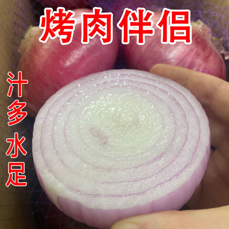 2024山东水果洋葱新鲜红皮紫皮洋葱头圆葱甜瓜批发价甜脆不辣