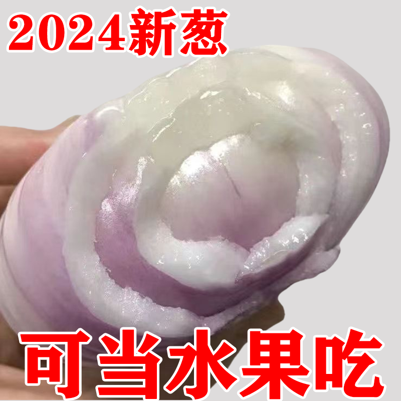 2024山东水果洋葱新鲜红皮紫皮洋葱头圆葱甜瓜批发价甜脆不辣