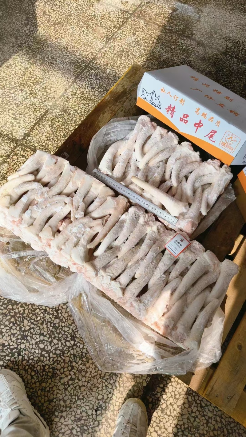 膘猪中尾