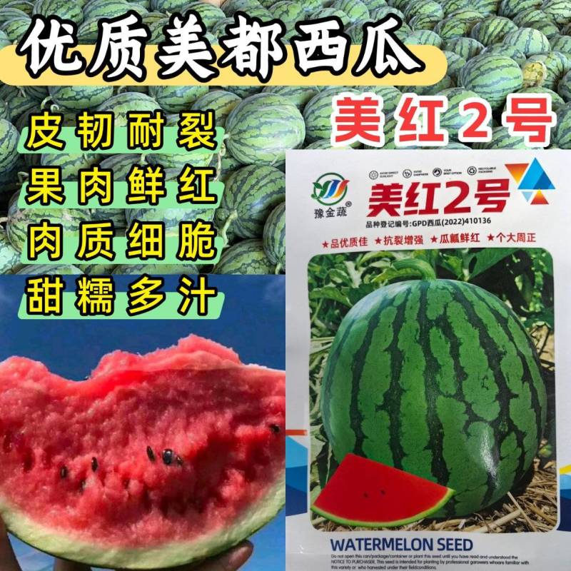 美红2号西瓜种子美都西瓜皮薄耐裂超8424甜脆红瓤圆麒麟