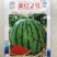 美红2号西瓜种子美都西瓜皮薄耐裂超8424甜脆红瓤圆麒麟