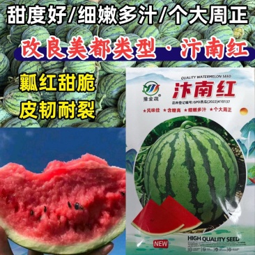美都西瓜种子汴南红西瓜大果圆麒麟红瓤耐裂甜脆超8424