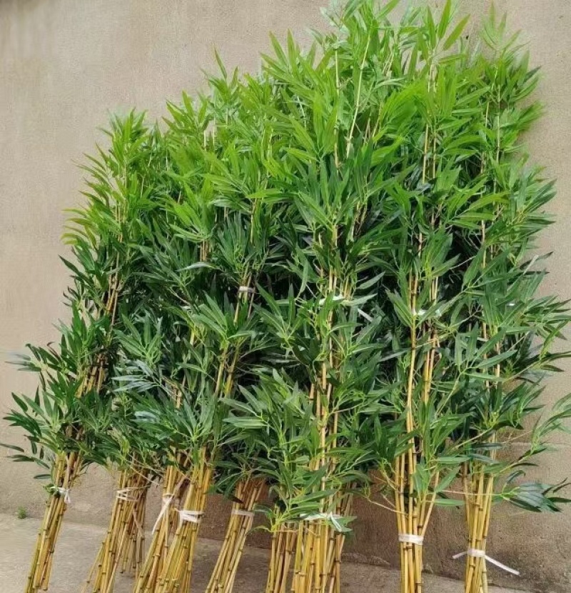 【精品】金镶玉仿真竹质量过硬厂家直发欢迎来电洽谈