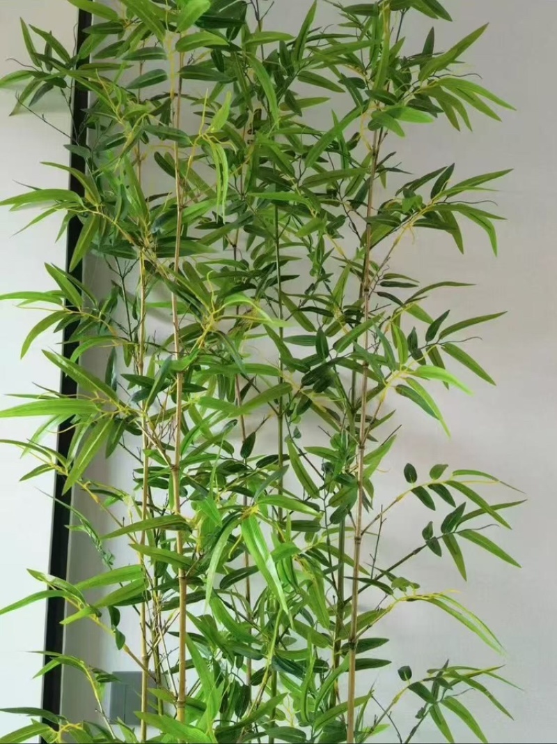 【精品】金镶玉仿真竹质量过硬厂家直发欢迎来电洽谈