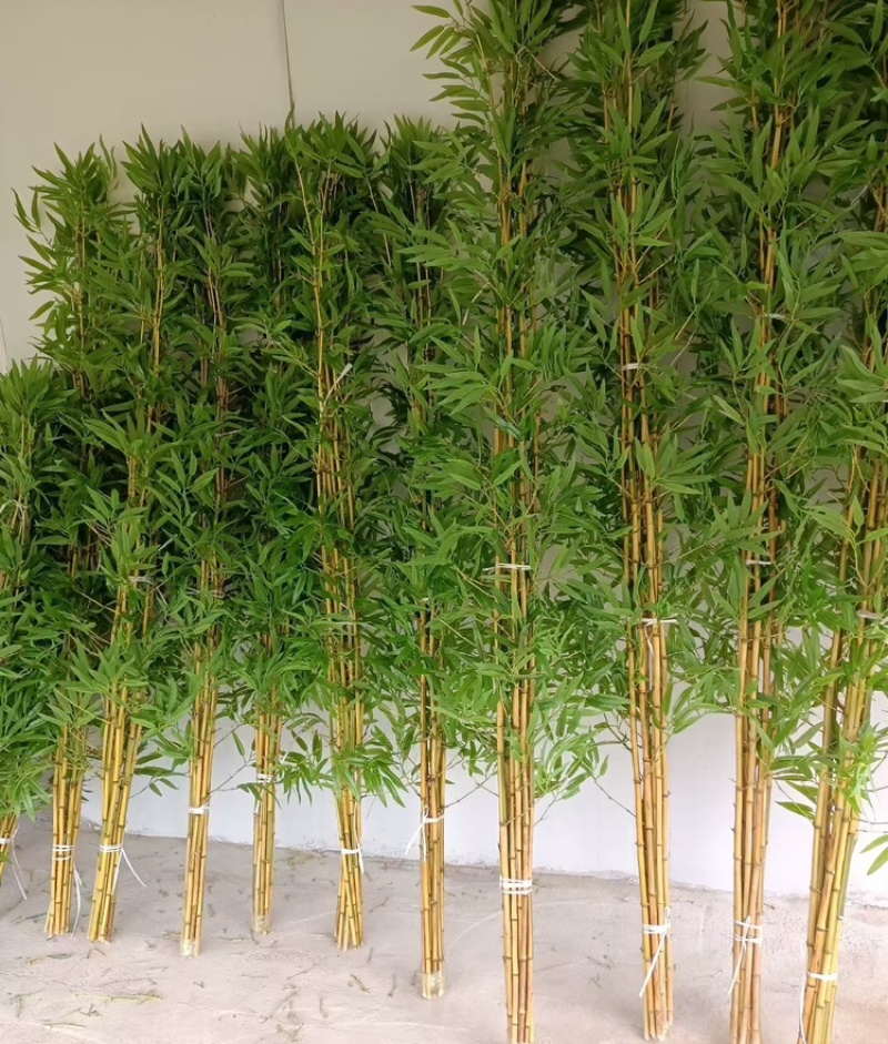 【精品】金镶玉仿真竹质量过硬厂家直发欢迎来电洽谈