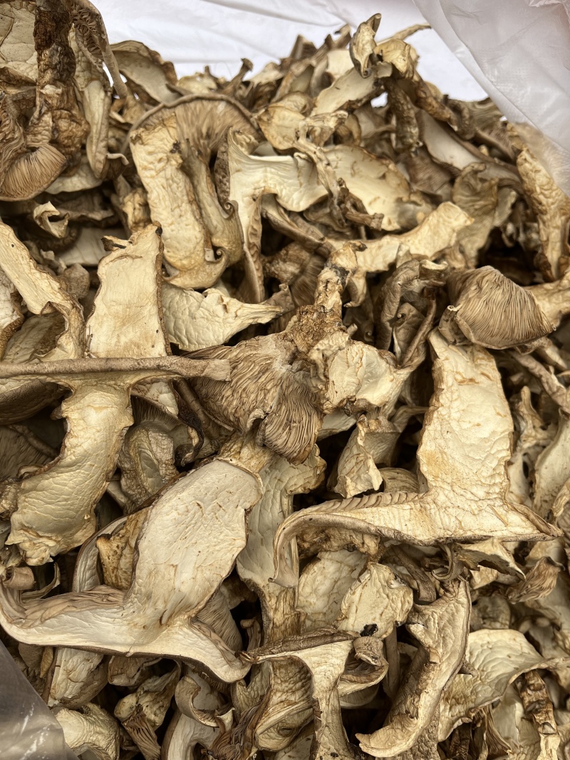 【正宗山区】山西太岳野生银盘蘑菇（干货）产地发货质量保证