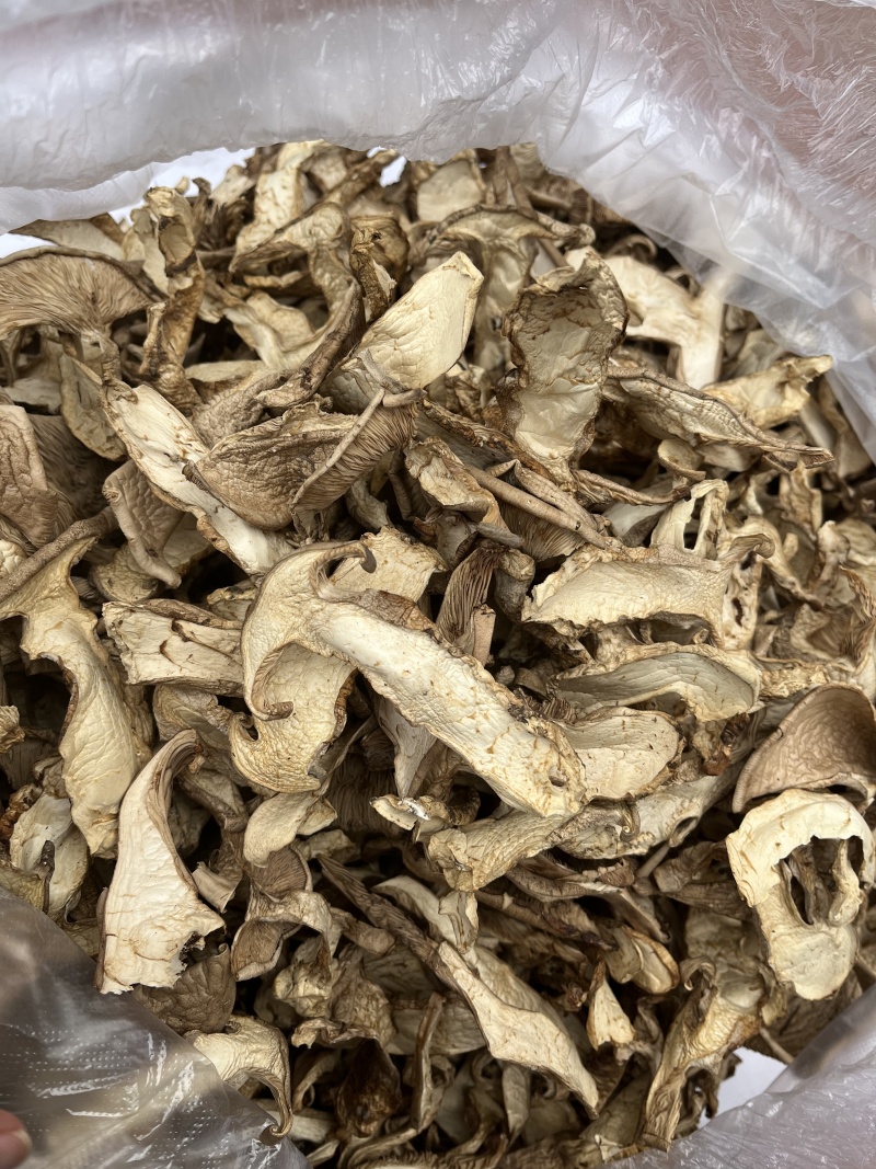 【正宗山区】山西太岳野生银盘蘑菇（干货）产地发货质量保证