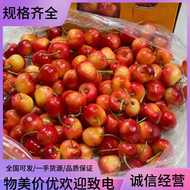 雷尼尔车厘子广州江南市场源头直发一手货源全品类全规格现货