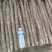 河南内黄县山药麻山药各种规格齐全供超市批发市场等
