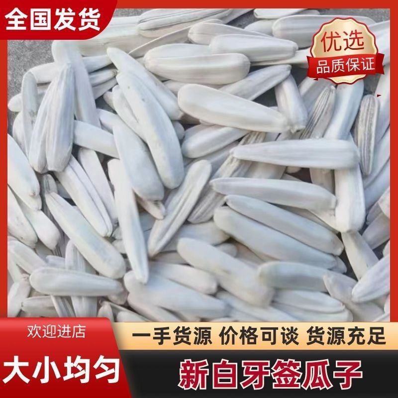 24年新白牙签瓜子货源充足量大从优质量保证欢迎咨询