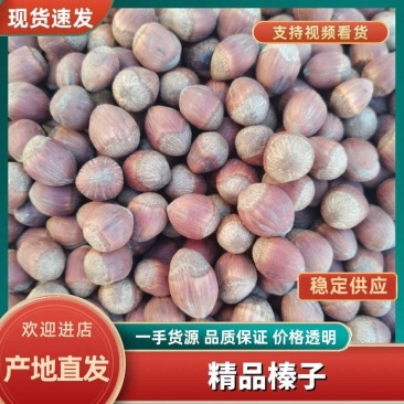 精品榛子大量到货，厂家直发品质保证，欢迎联系