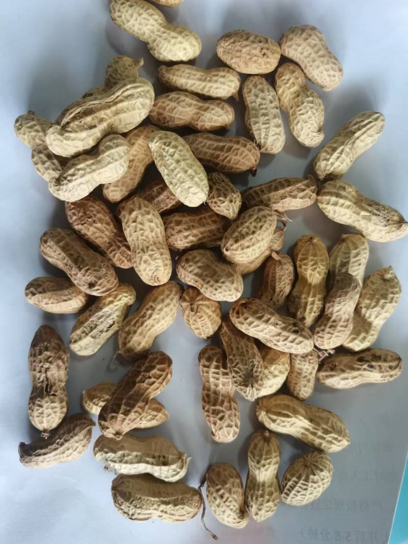 精品新鲜蒜香味花生厂家直发品质保证诚信经营欢迎咨询