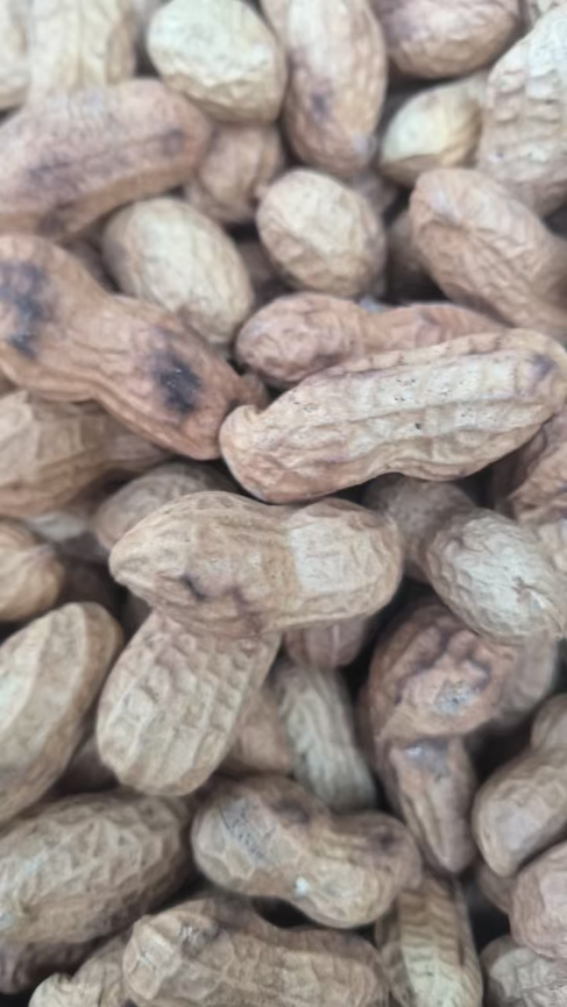 精品新鲜蒜香味花生厂家直发品质保证诚信经营欢迎咨询