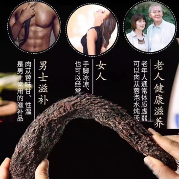 肉苁蓉/大芸/不熏不蒸/不染色/***/食药两用养生佳品