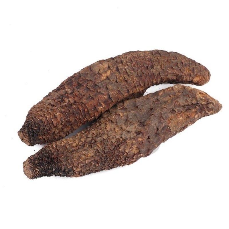 肉苁蓉/大芸/不熏不蒸/不染色/***/食药两用养生佳品
