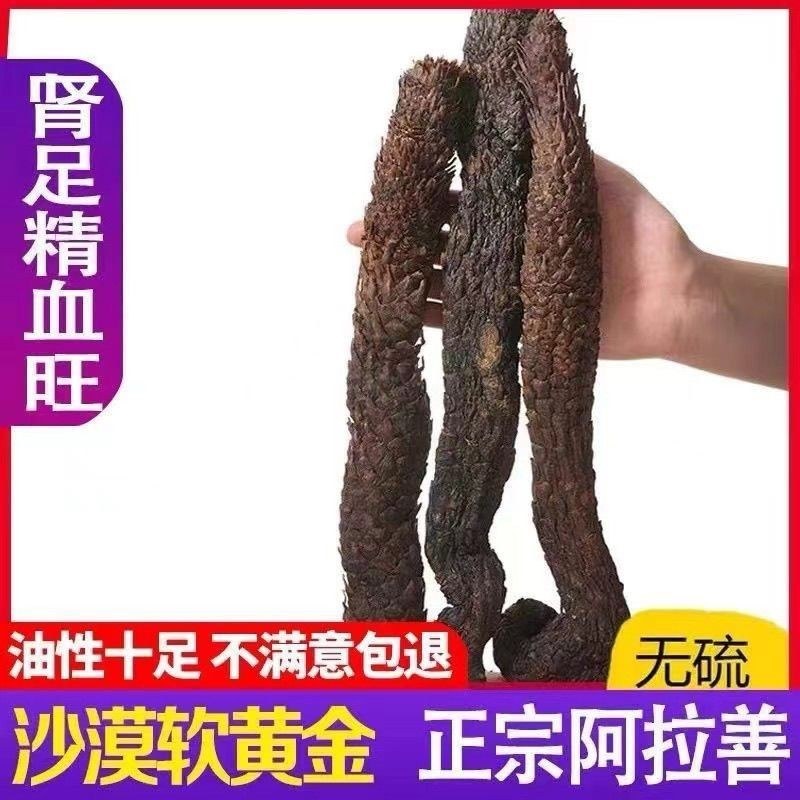 肉苁蓉/大芸/不熏不蒸/不染色/***/食药两用养生佳品