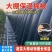 大棚保温被防寒加厚棉被蔬菜种植养殖专用耐高低温