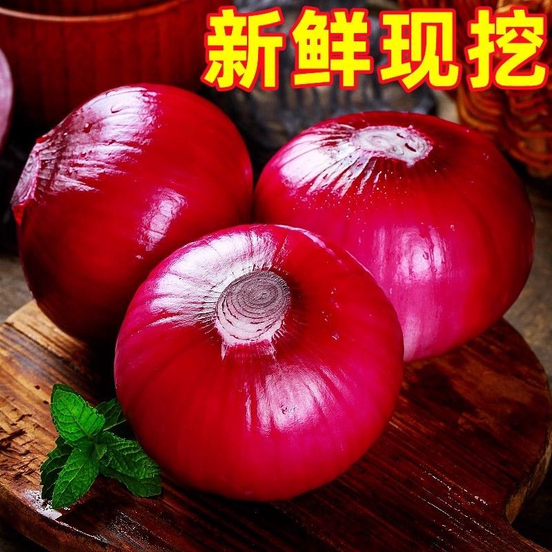 【全网低价】精选红紫皮洋葱葱头当季圆洋葱皮芽子新鲜凉拌生