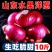 【全网低价】精选红紫皮洋葱葱头当季圆洋葱皮芽子新鲜凉拌生