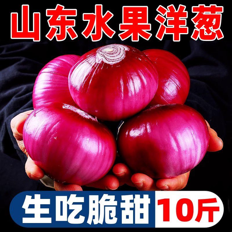 【全网低价】精选红紫皮洋葱葱头当季圆洋葱皮芽子新鲜凉拌生
