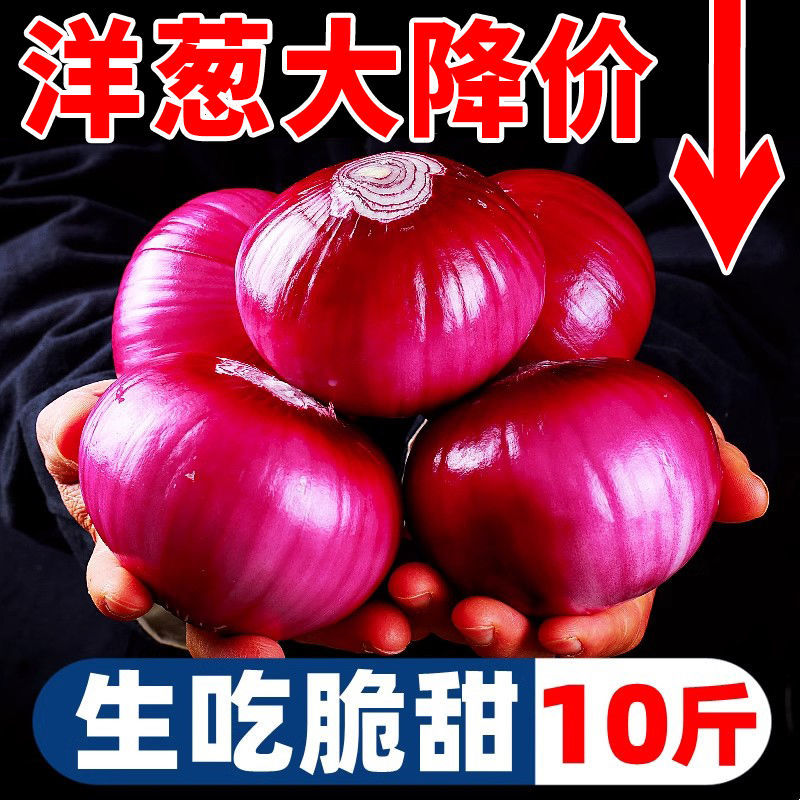 【全网低价】精选红紫皮洋葱葱头当季圆洋葱皮芽子新鲜凉拌生