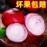 【全网低价】精选红紫皮洋葱葱头当季圆洋葱皮芽子新鲜凉拌生