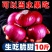 【全网低价】精选红紫皮洋葱葱头当季圆洋葱皮芽子新鲜凉拌生