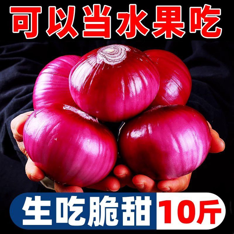【全网低价】精选红紫皮洋葱葱头当季圆洋葱皮芽子新鲜凉拌生