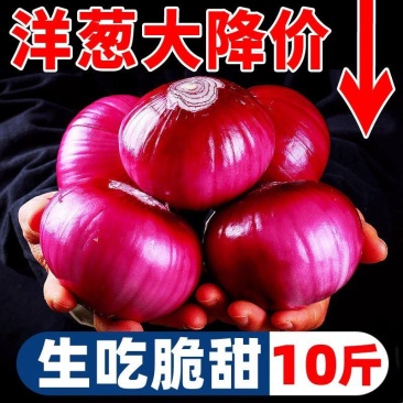 【全网低价】精选红紫皮洋葱葱头当季圆洋葱皮芽子新鲜凉拌生