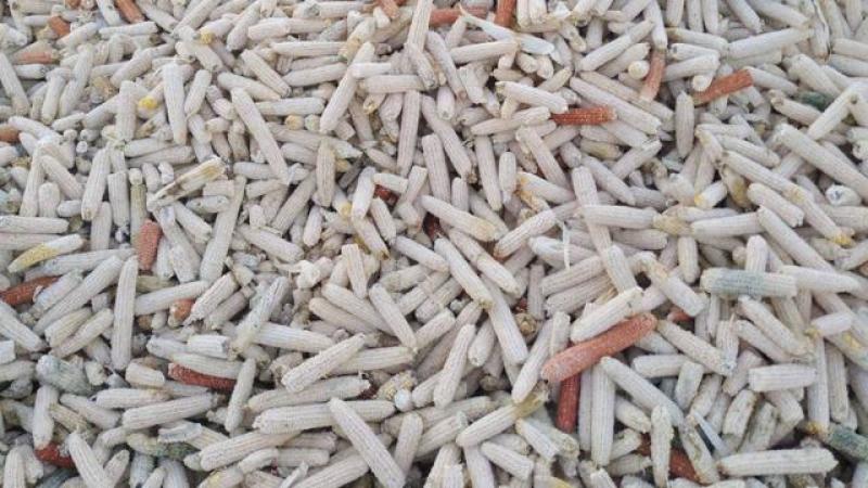 玉米芯大量供应，物美价廉
