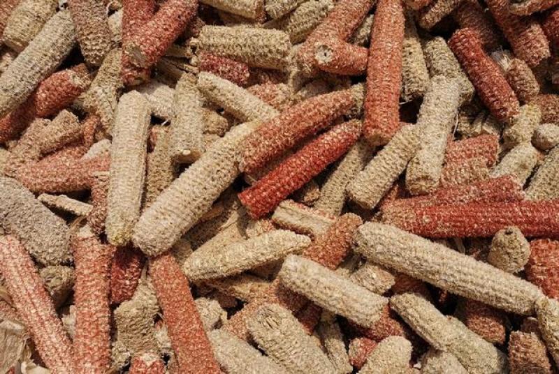 玉米芯大量供应，物美价廉