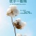 新疆的长绒棉棉花
