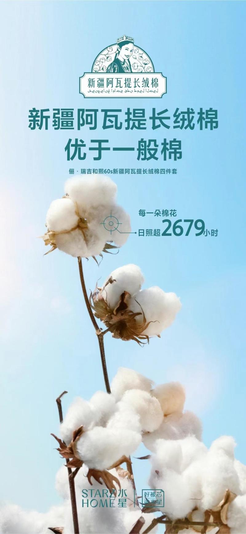 新疆的长绒棉棉花