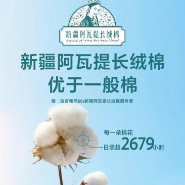 新疆的长绒棉棉花