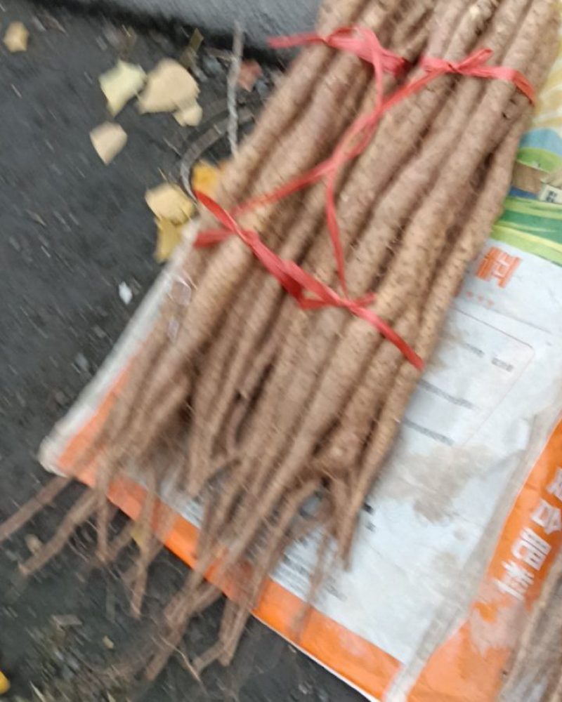 垆土铁棍山药产地直供对接超市电商批发市场等，欢迎咨询