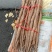 垆土铁棍山药产地直供对接超市电商批发市场等，欢迎咨询