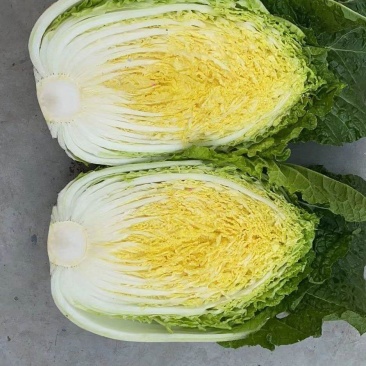 湖北黄心白菜，产地直供，无烧心，无虫眼，质量保证价格优惠