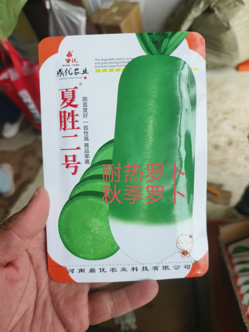 夏胜二号四季罗卜耐热罗卜种子深绿色小板叶一亩15000斤