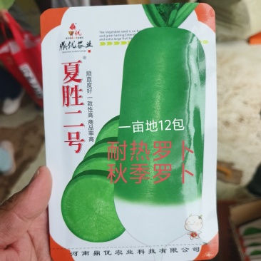 夏胜二号四季罗卜耐热罗卜种子深绿色小板叶一亩15000斤