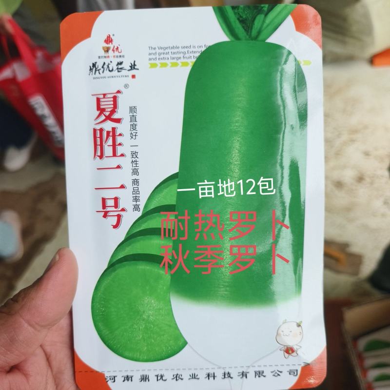 夏胜二号四季罗卜耐热罗卜种子深绿色小板叶一亩15000斤