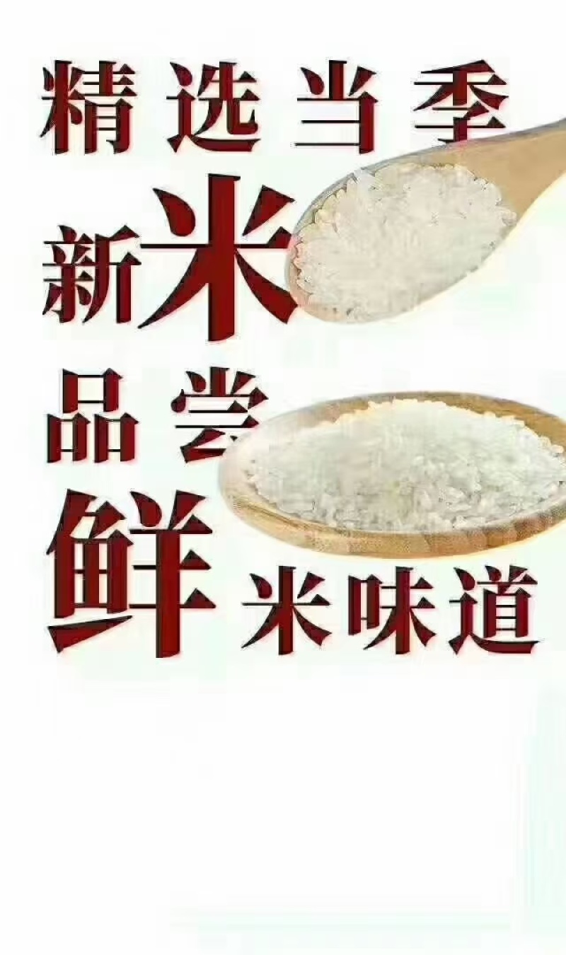 包邮五常稻花香产地直发，自产自销，规格齐全，可视频验货