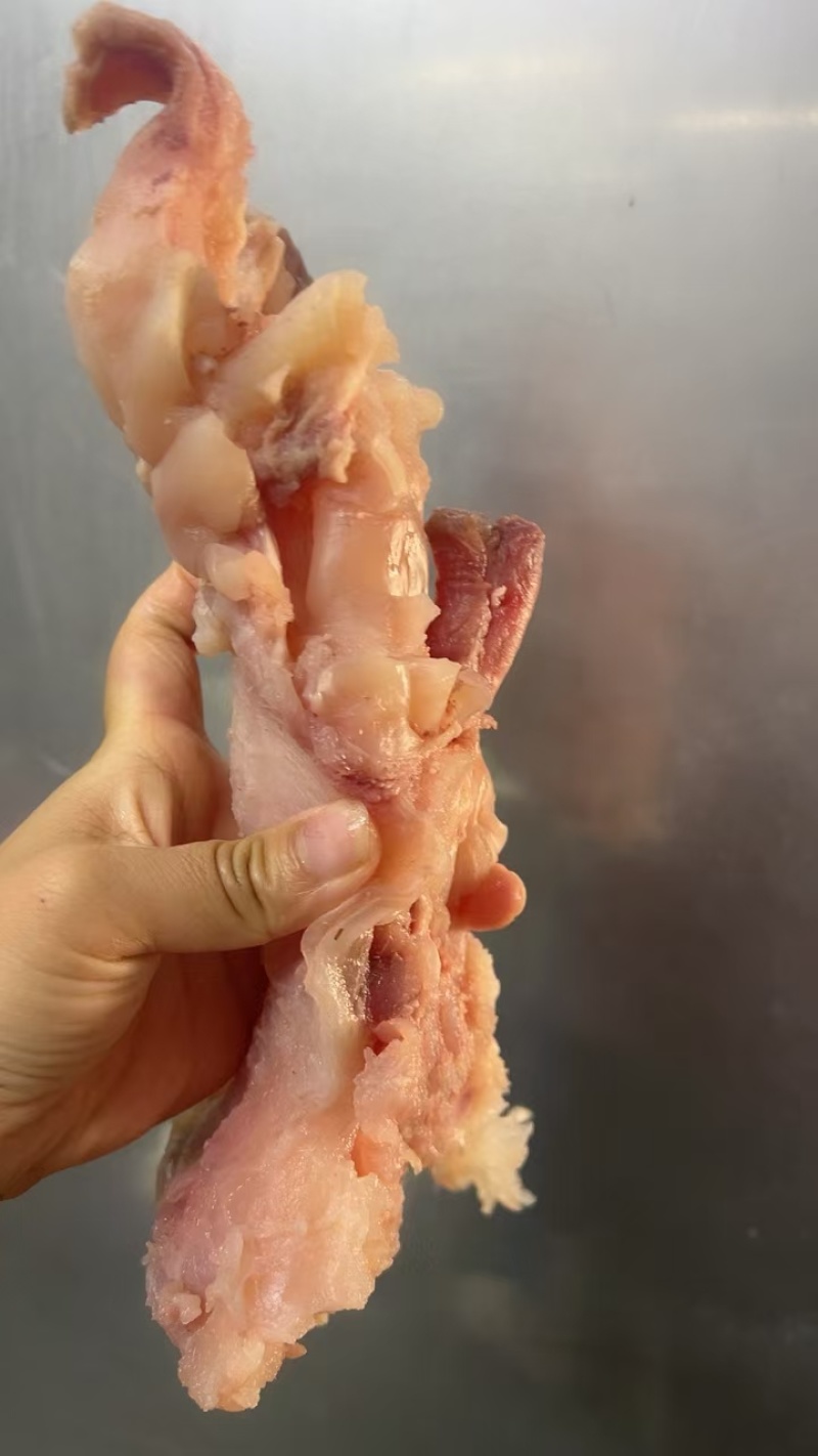 熟牛蹄筋厂家直销品质好价格低对接餐饮酒店商超市场