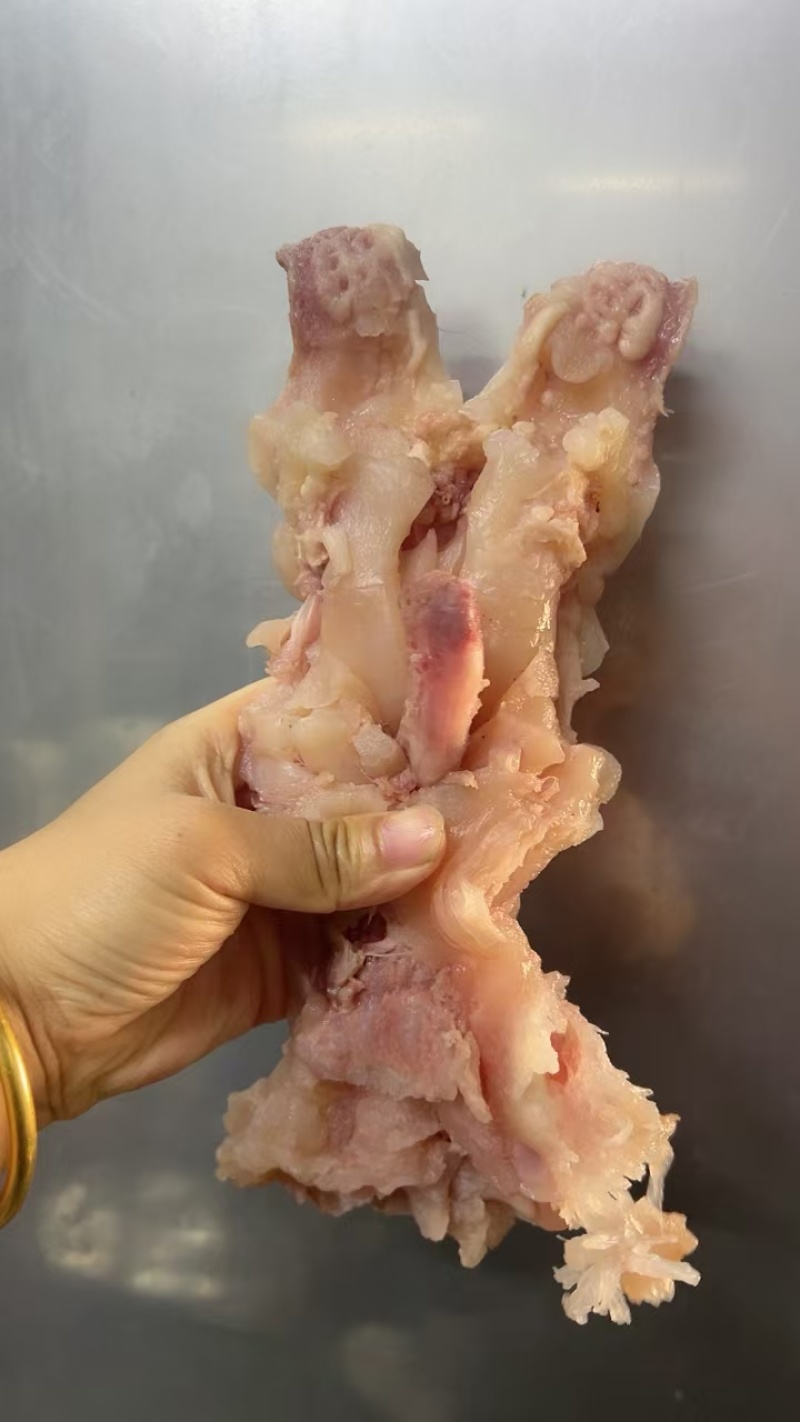 熟牛蹄筋厂家直销品质好价格低对接餐饮酒店商超市场