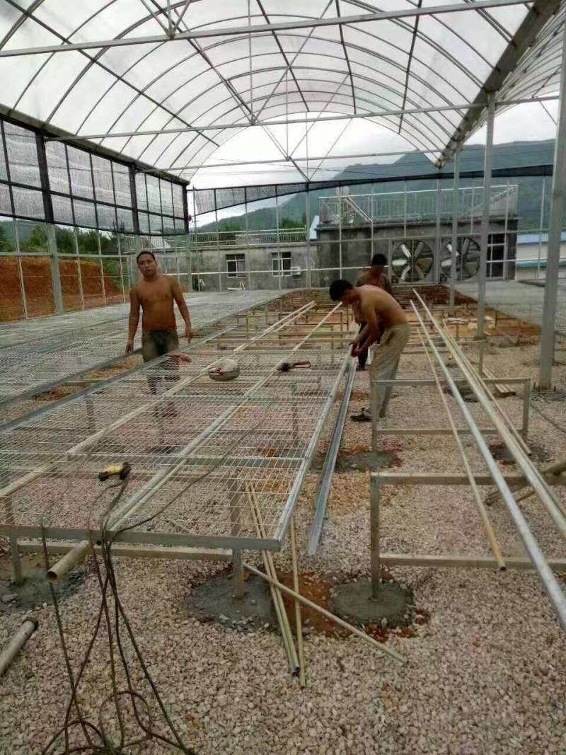 成套温室大棚及配件大棚施工温室大棚配件