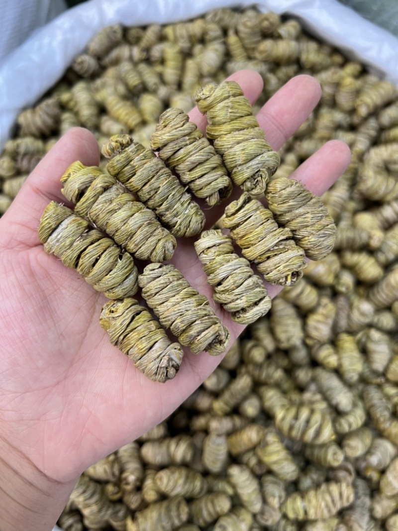 紫皮石斛枫斗大货批发价格不贵