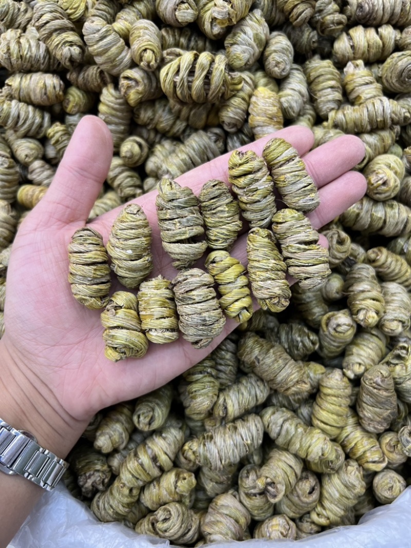 紫皮石斛枫斗大货批发价格不贵