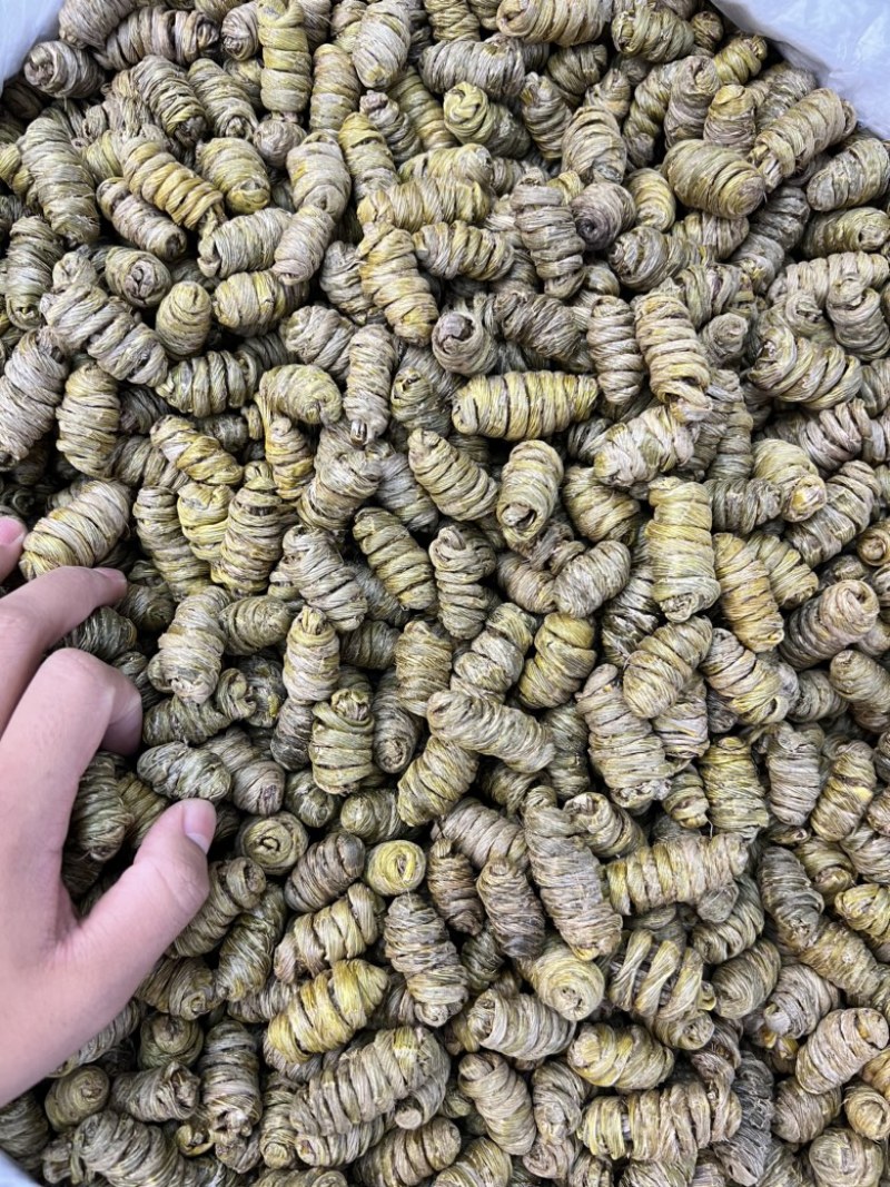 紫皮石斛枫斗大货批发价格不贵