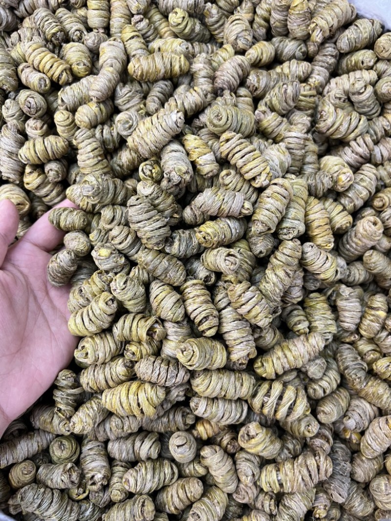 紫皮石斛枫斗大货批发价格不贵