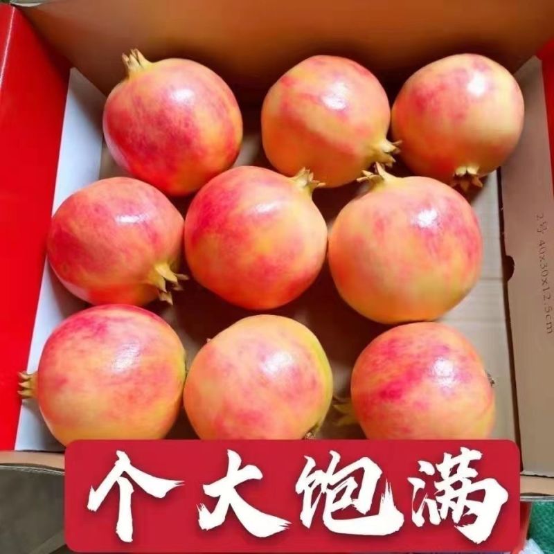 突尼斯软籽石榴新鲜当季孕妇水果四川会理红宝石无籽石榴整箱